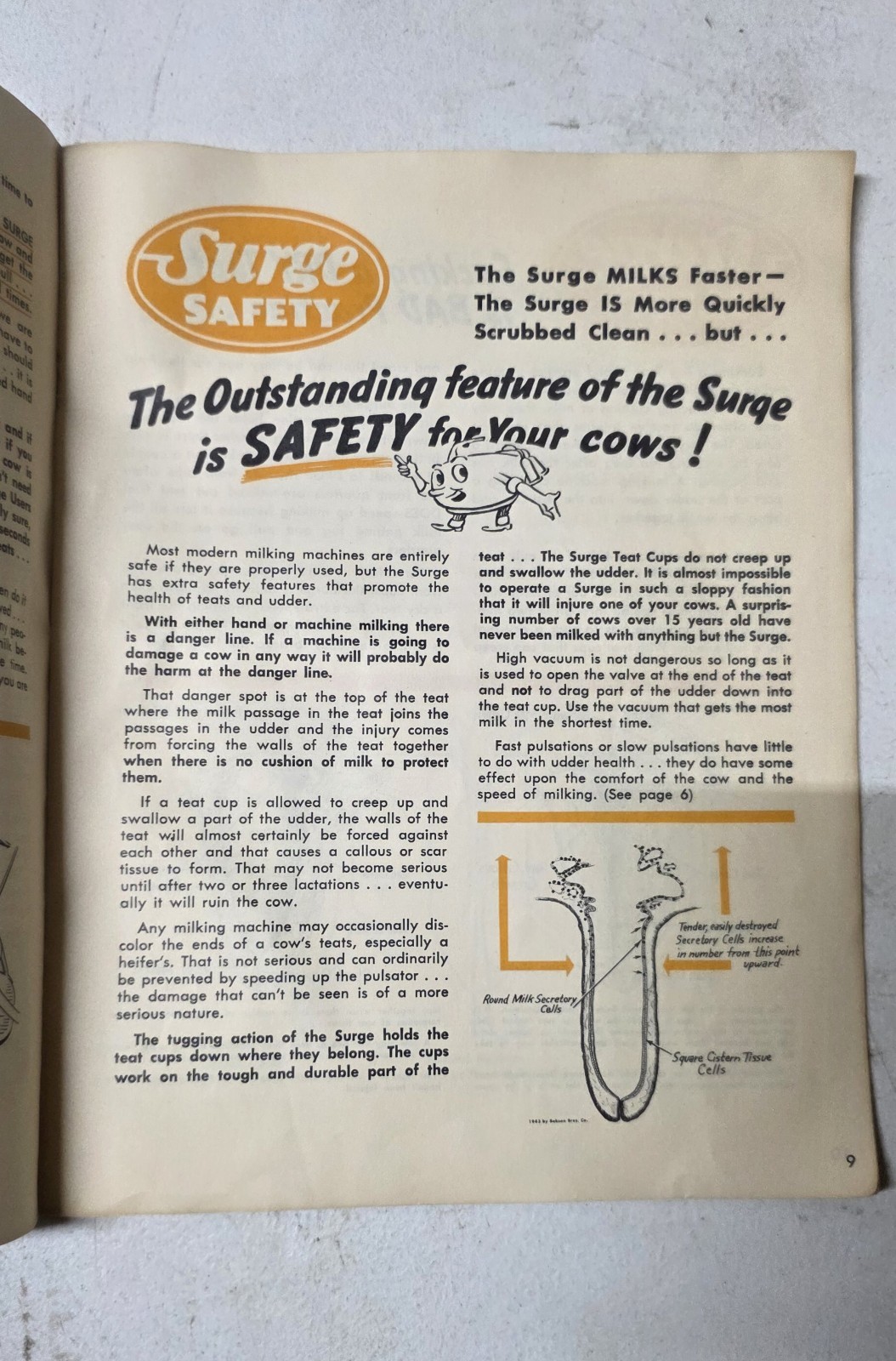 Babson Bros. Co. Money-Making Milking Brochure Agriculture