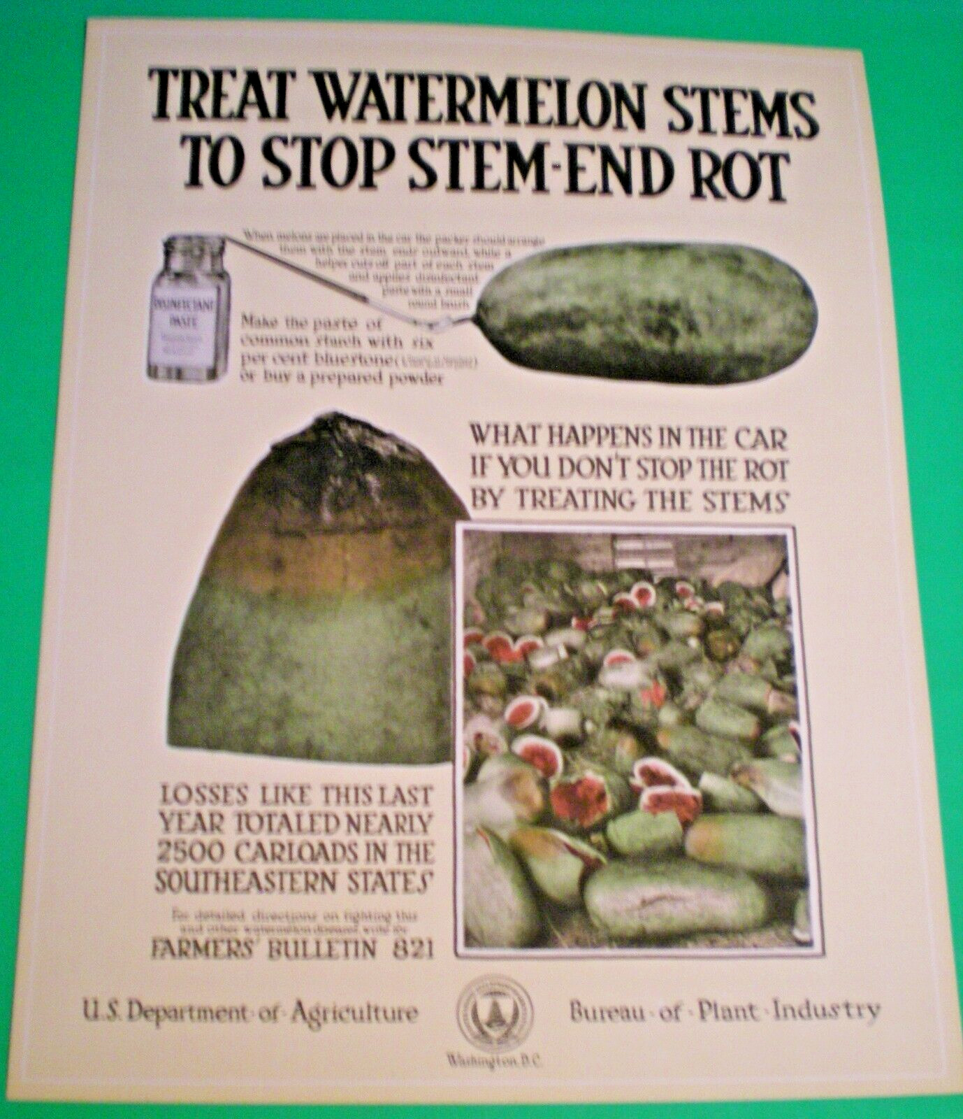 c1918 USDA Bureau of Plant Industry POSTER ~ TREAT WATERMELON STEMS ~ STOP ROT