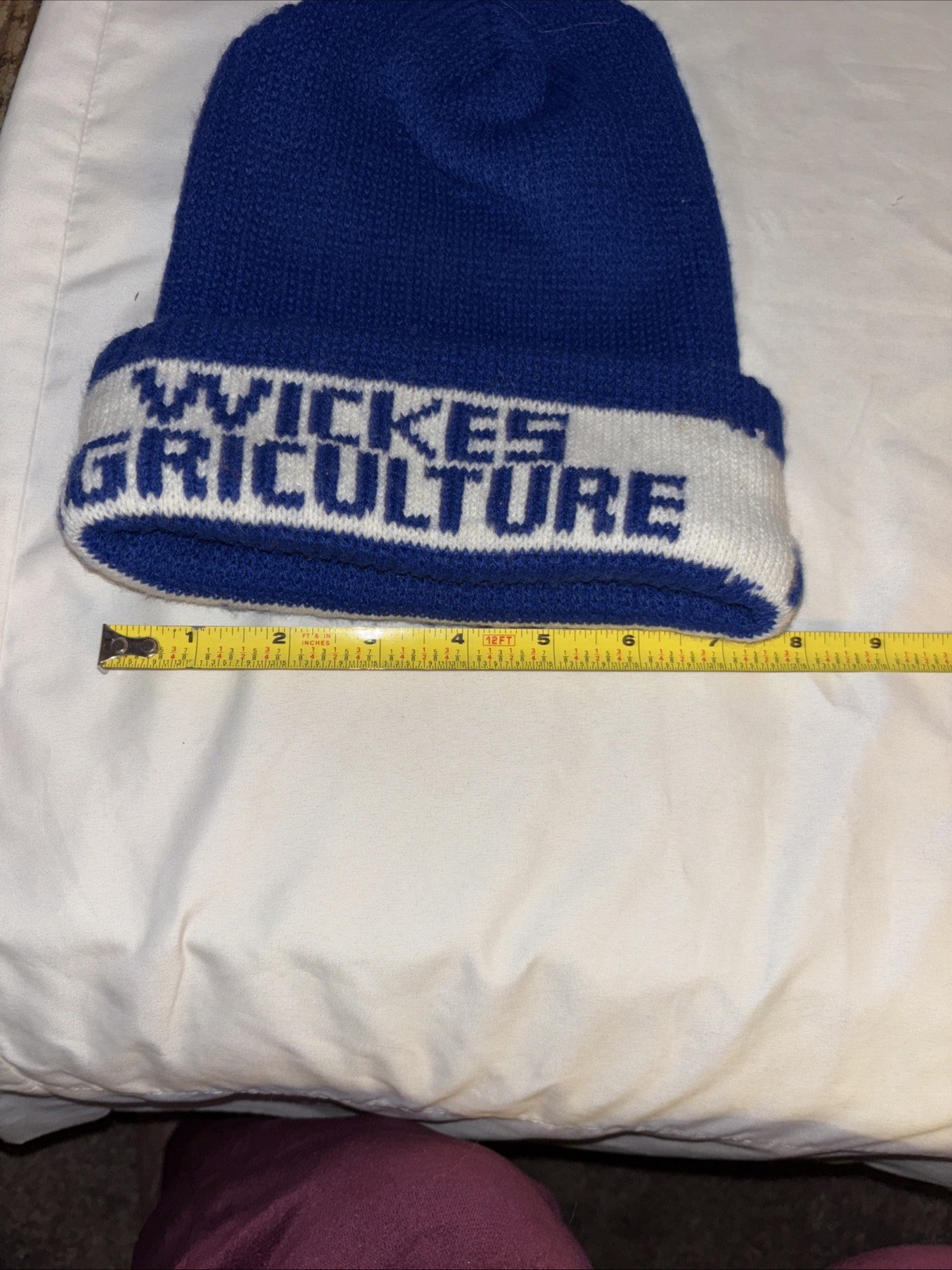 Vtg WICKES AGRICULTURE Advertising Blue/White Knit Stocking Cap & 5×4” Ash Tray