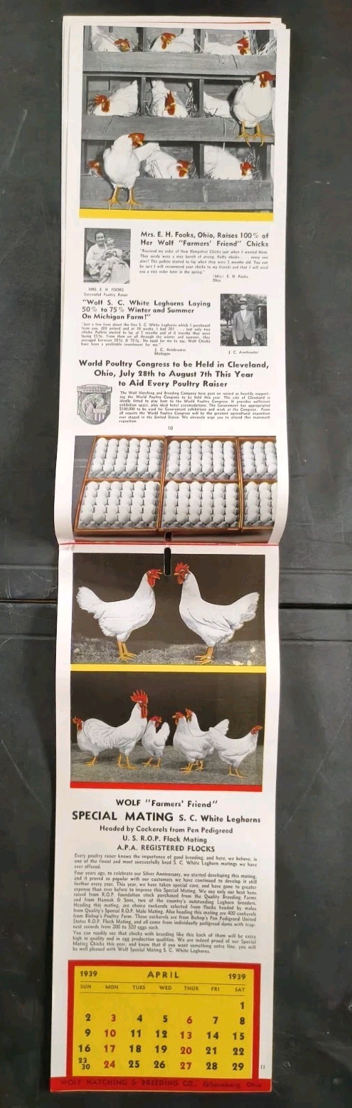 1939 Wolf Baby Chicks Catalog Calendar Sale Brochure Chicken Farming Advertising
