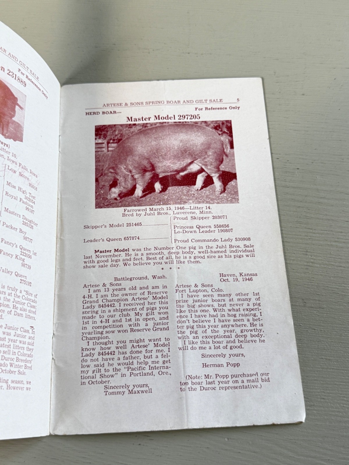 Mixed Lot of 34 Vintage Duroc Pig Hog Auction Sale Brochure Advertising KS NE CO