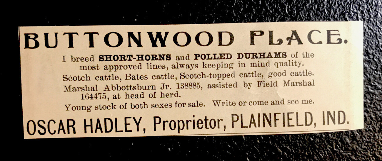 1902 Buttonwood Place Farm Cattle Cow Advertising – Plainfield – Indiana