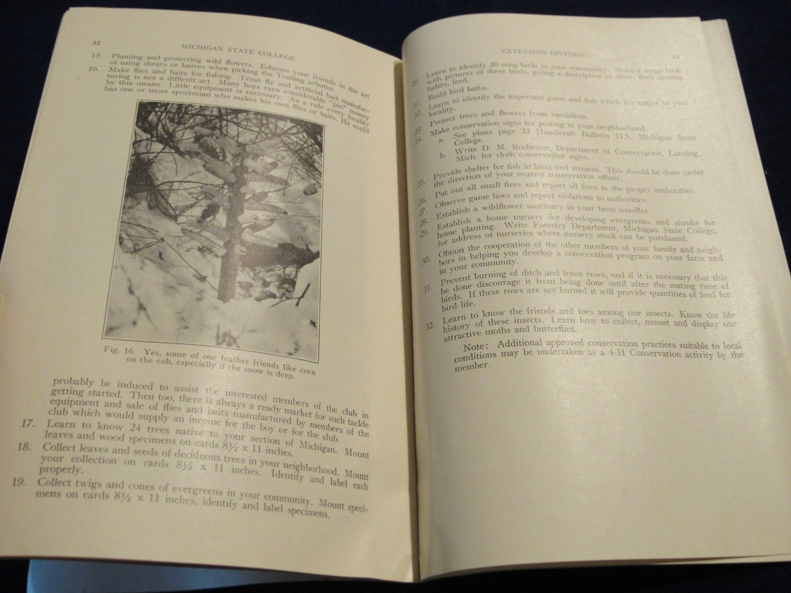 Vintage 1937 MSU Michigan State College Conservation Program for 4H Clubs C183