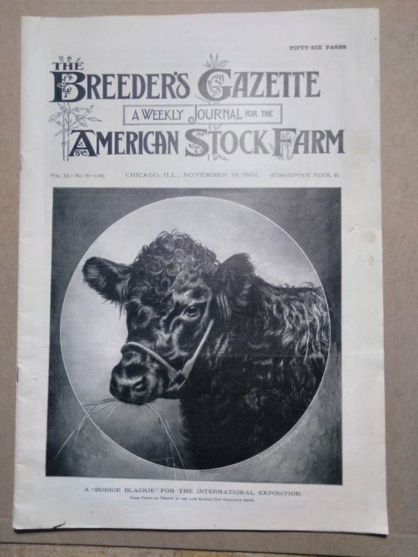 Nov 13, 1901 Breeder&rsquo;s Gazette Weekly Union Stock Yards Intl Exposition Chicago