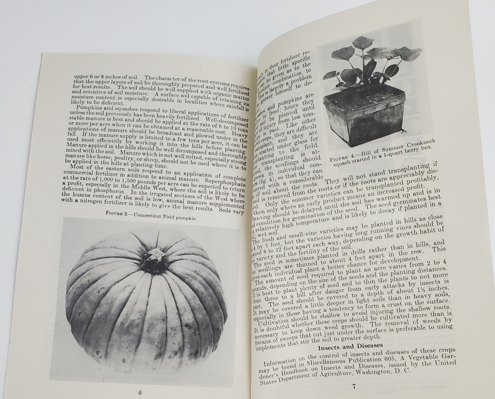 1938 Pumpkins & Squashes Production Vintage Farmer&rsquo;s Leaflet No 141 1945 Print
