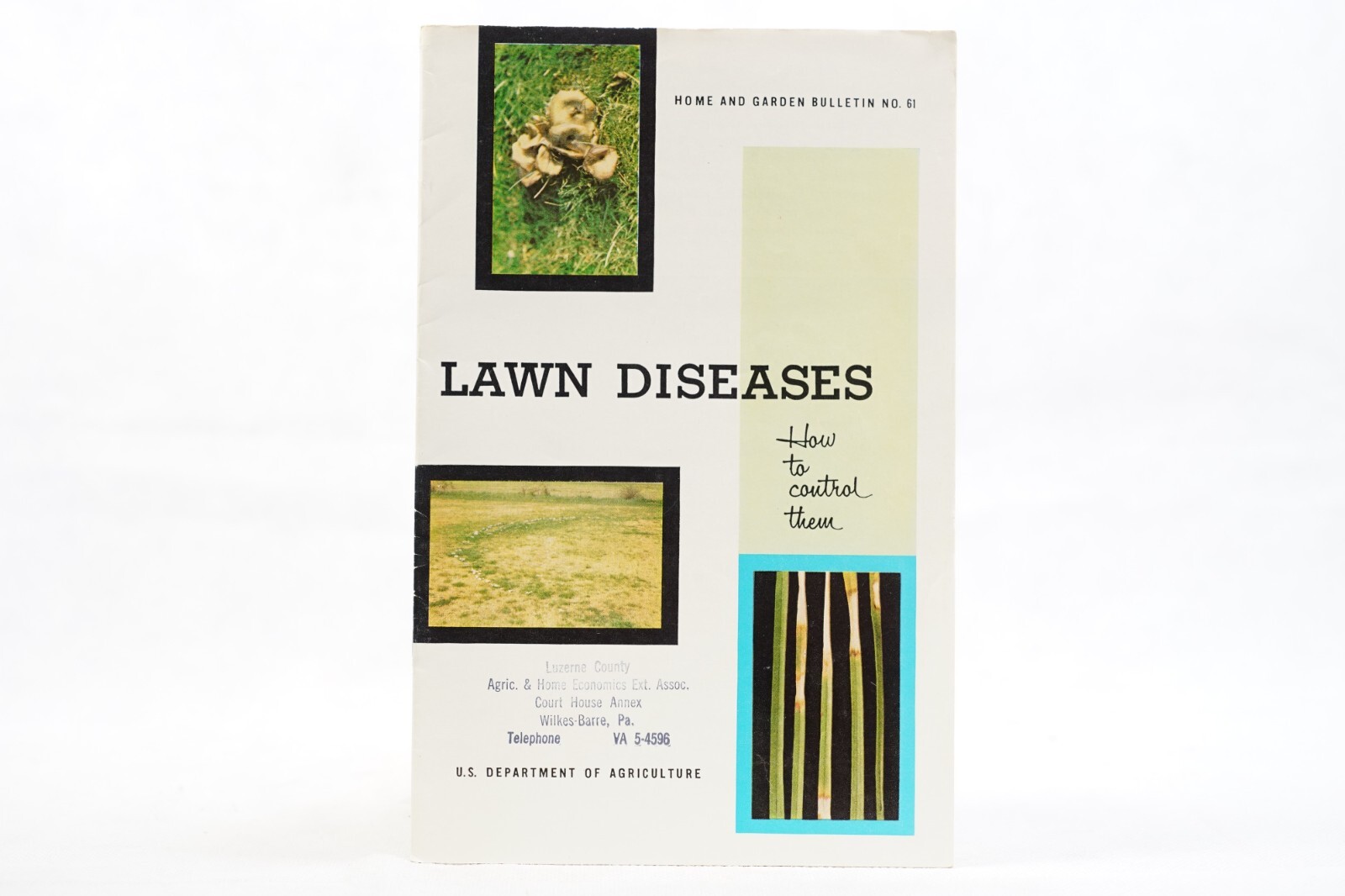 1960s Lawn Diseases USDA Home and Garden Bulletin No. 61 Agricultural Brochure