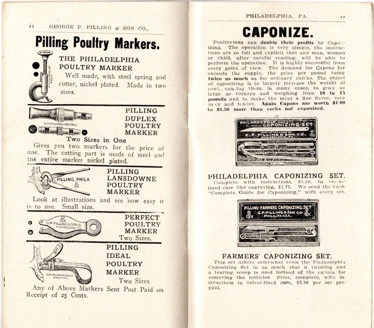 The Pilling Easy to Use Cattle Instruments.. Catalog, George Pilling & Son, 1908