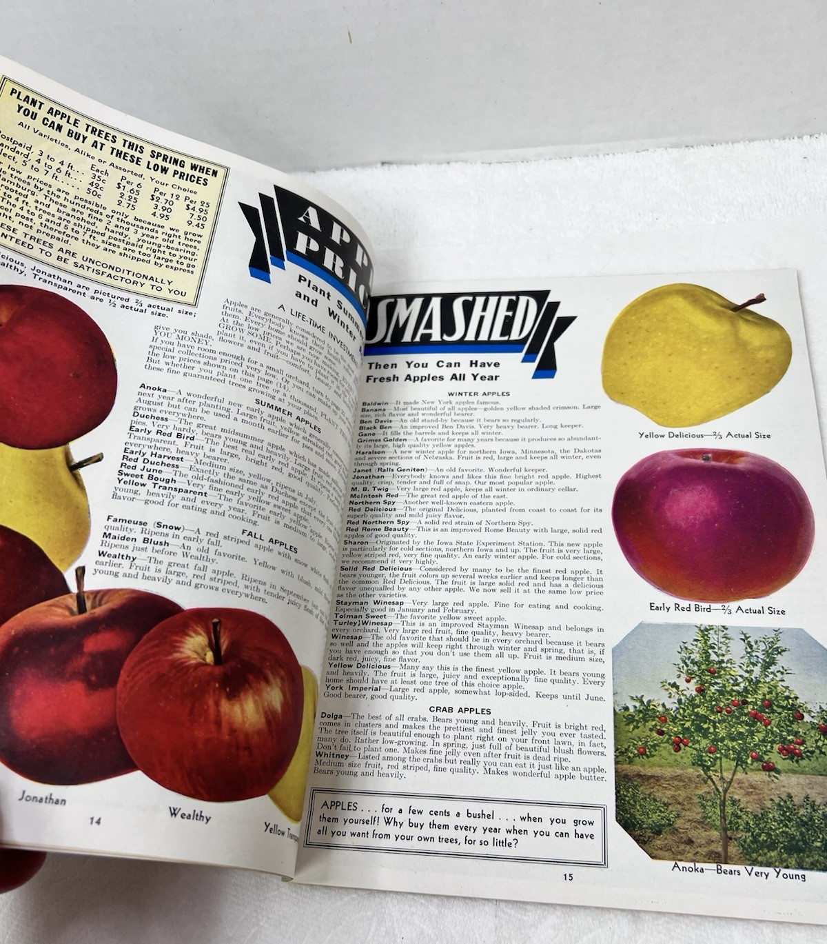1938 Inter-State Nurseries Catalog 28 Color Pages Fruits Flowers Vegetables OHIO