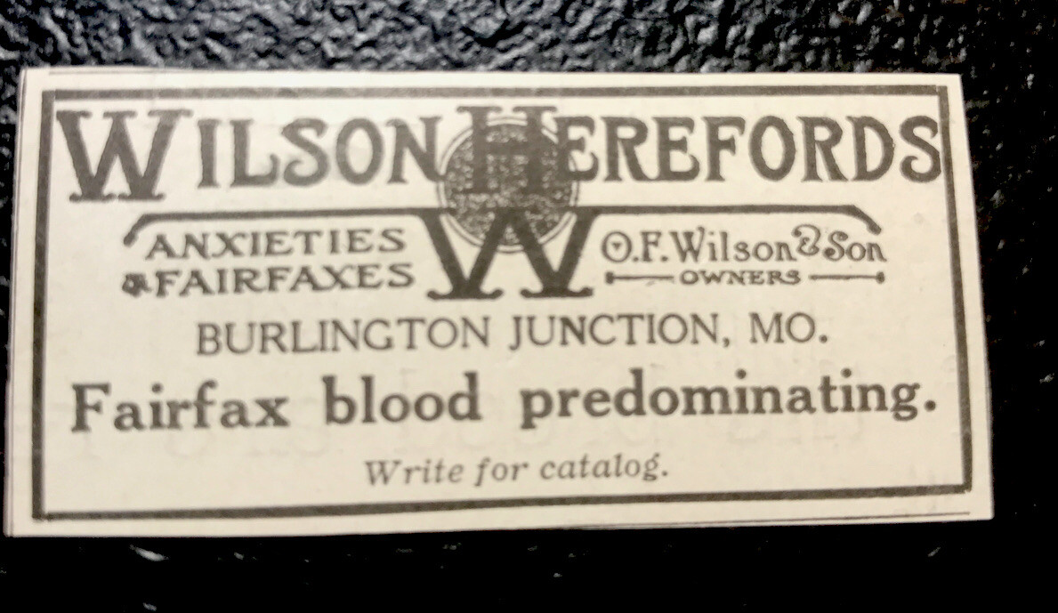 1919 O.F. Wilson & Son Cattle Advertising – Burlington Junction – Miss – Cow