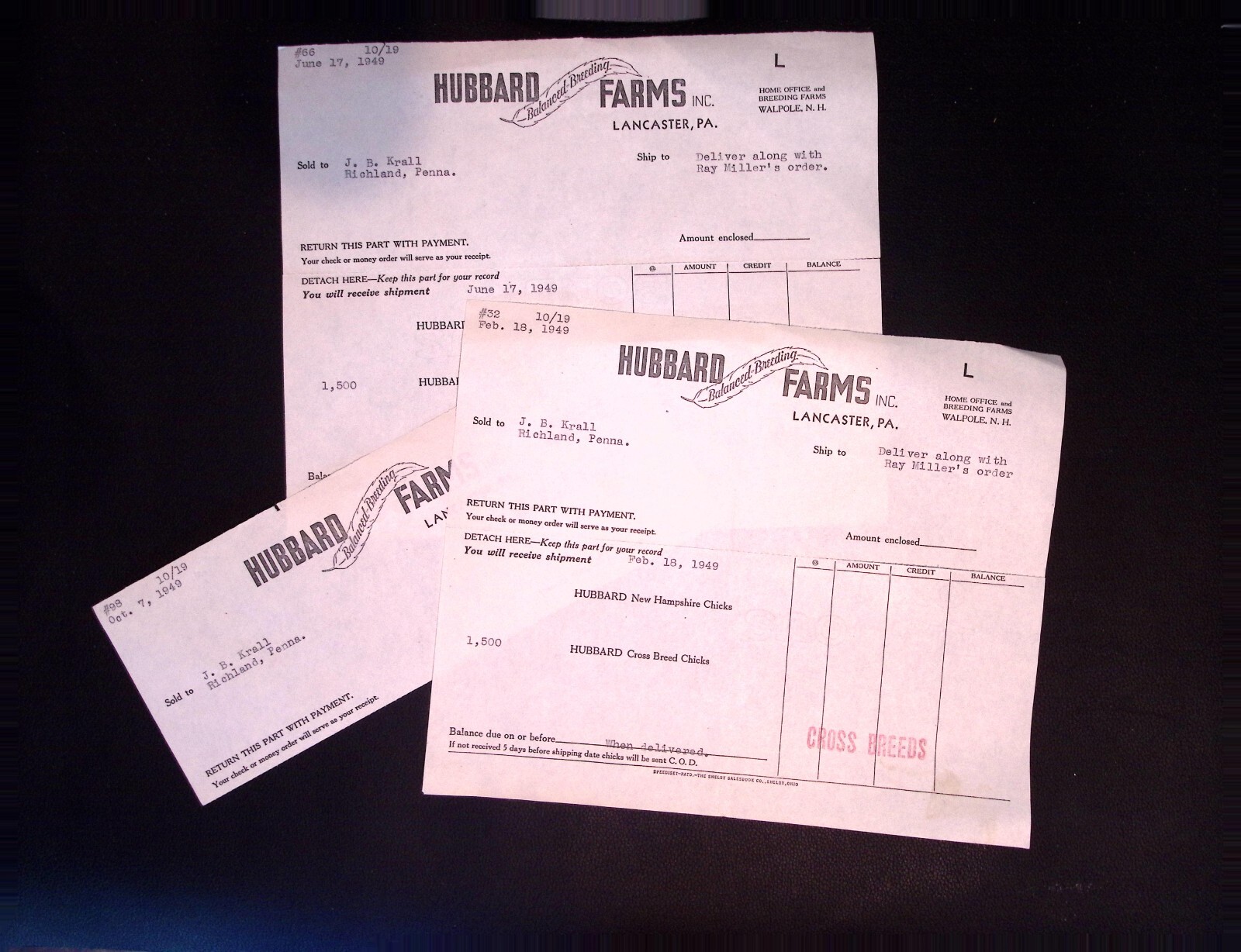 Hubbard Farms Inc. Lancaster PA Chicken Breeding Invoices 1949 Lot of 3