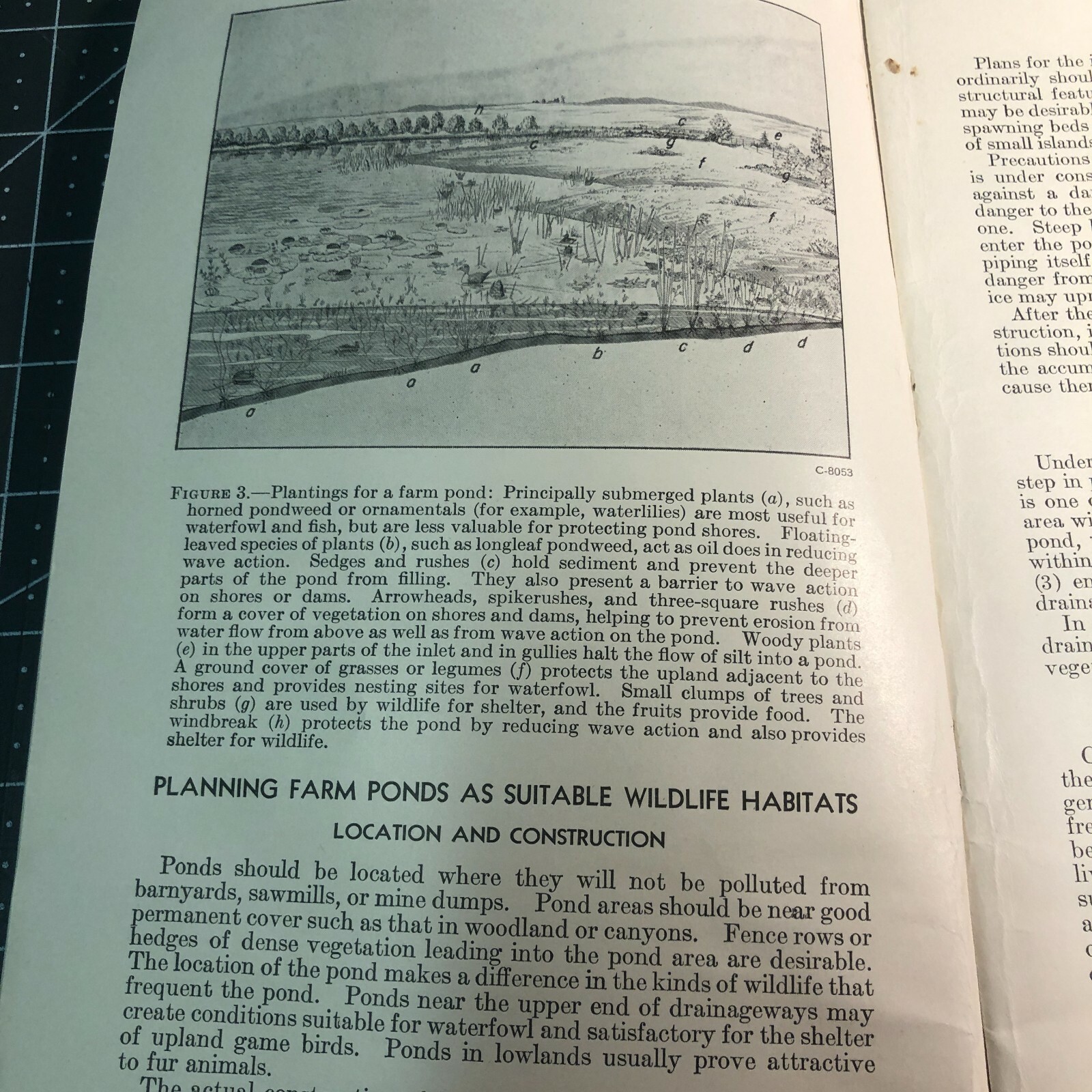 1940s Ponds for Wildlife Booklet Farmers Bulletin US Department of Agriculture