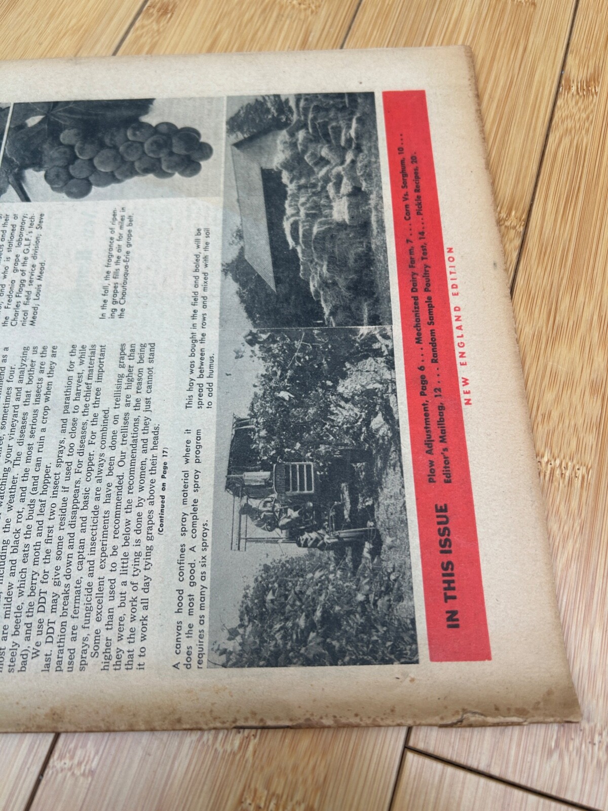 JULY 16 1960 AMERICAN AGRICULTURIST MAGAZINE THE FARM PAPER ATLANTIC REFINING CO