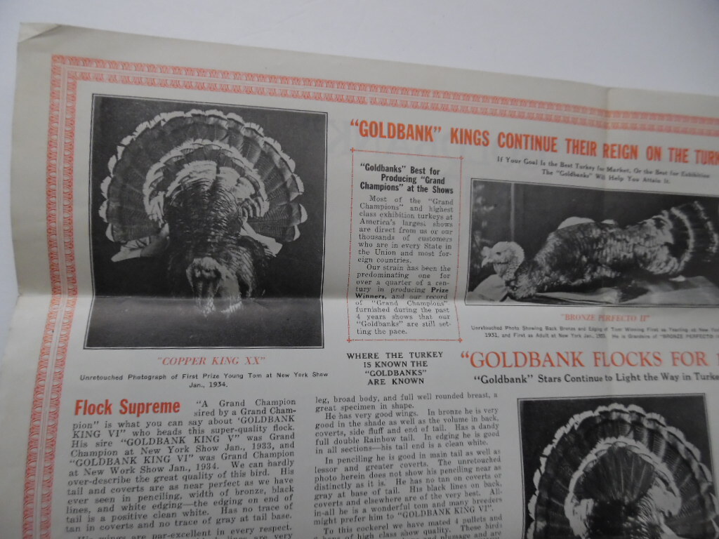 1934 Goldbank Giant Bronze Turkey Brochure Bird Bros Meyersdale Poultry Vintage