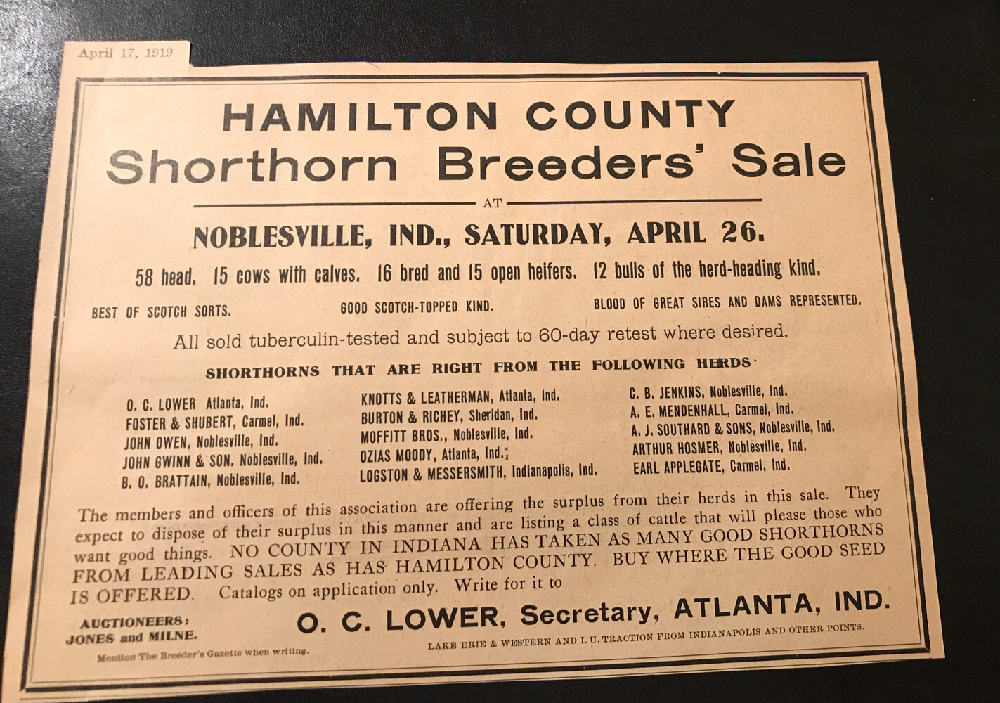 1919 Shorthorn Breeders Cattle Public Sale – Cow – Noblesville – Indiana