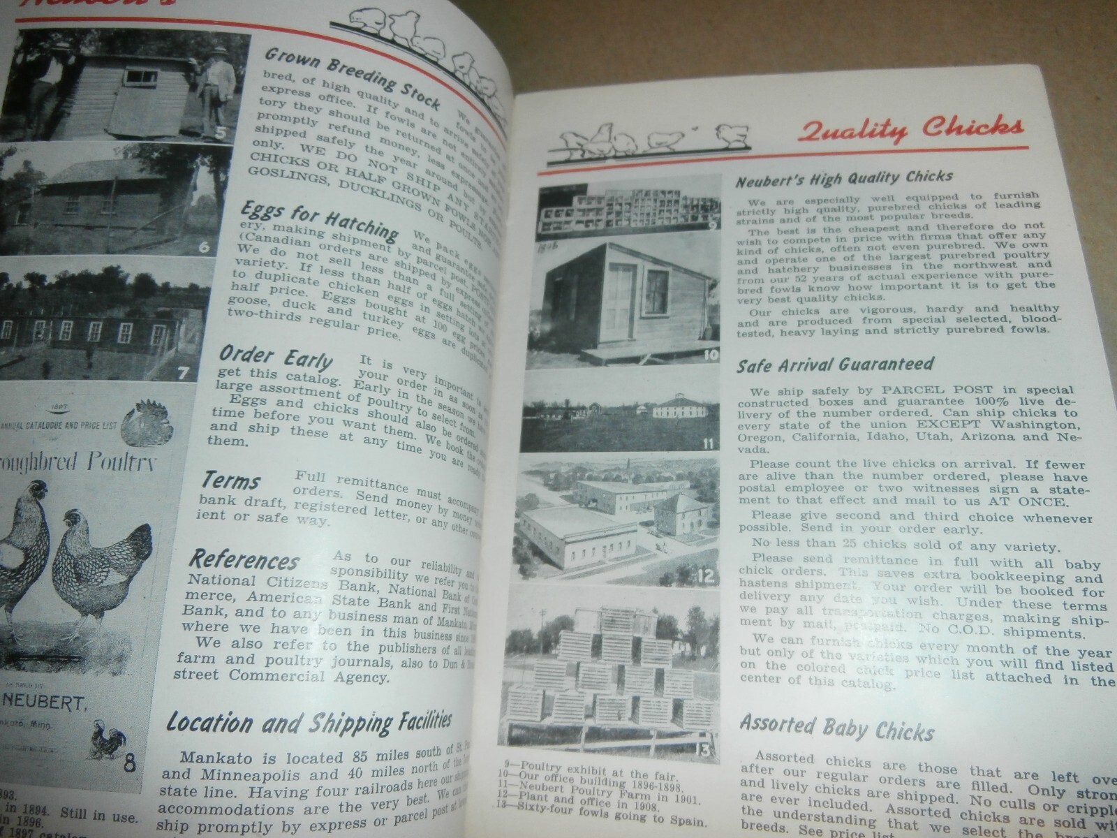 Vintage 1945 Neubert&rsquo;s Neubert Poultry + Supply Catalog Mankato MN
