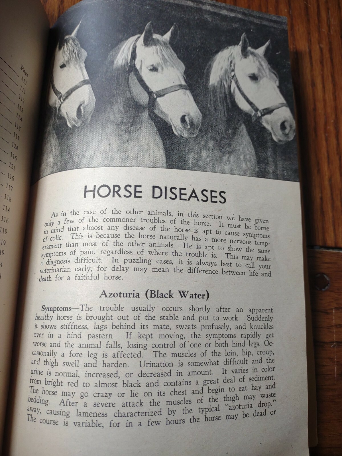 HOARDS DAIRYMAN FORT ATKINSON,WIS. COMMON AILMENTS OF FARM ANIMALS BOOK