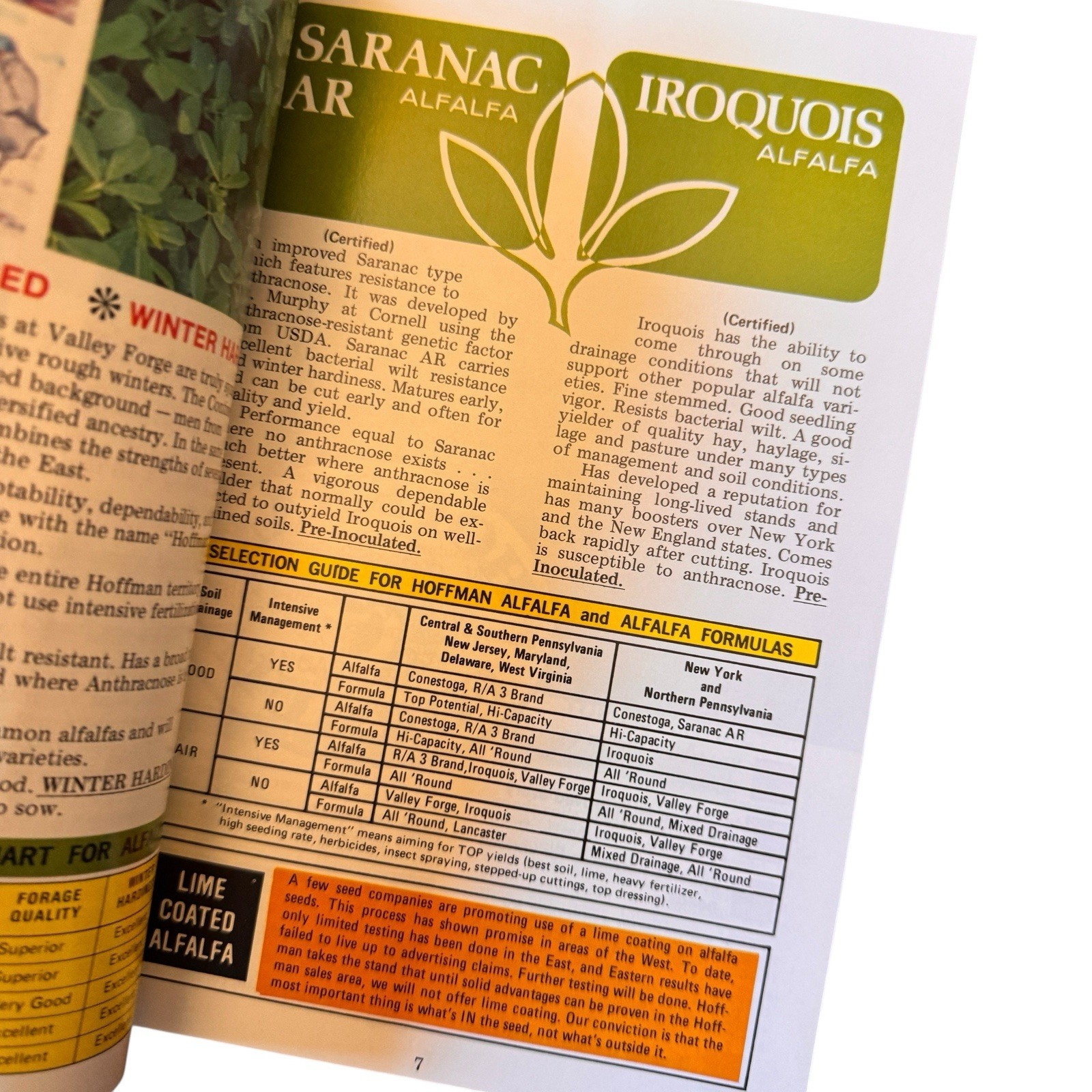 1978 Hoffman Seed Book Catalog Vintage Farming Agriculture Seeds USA