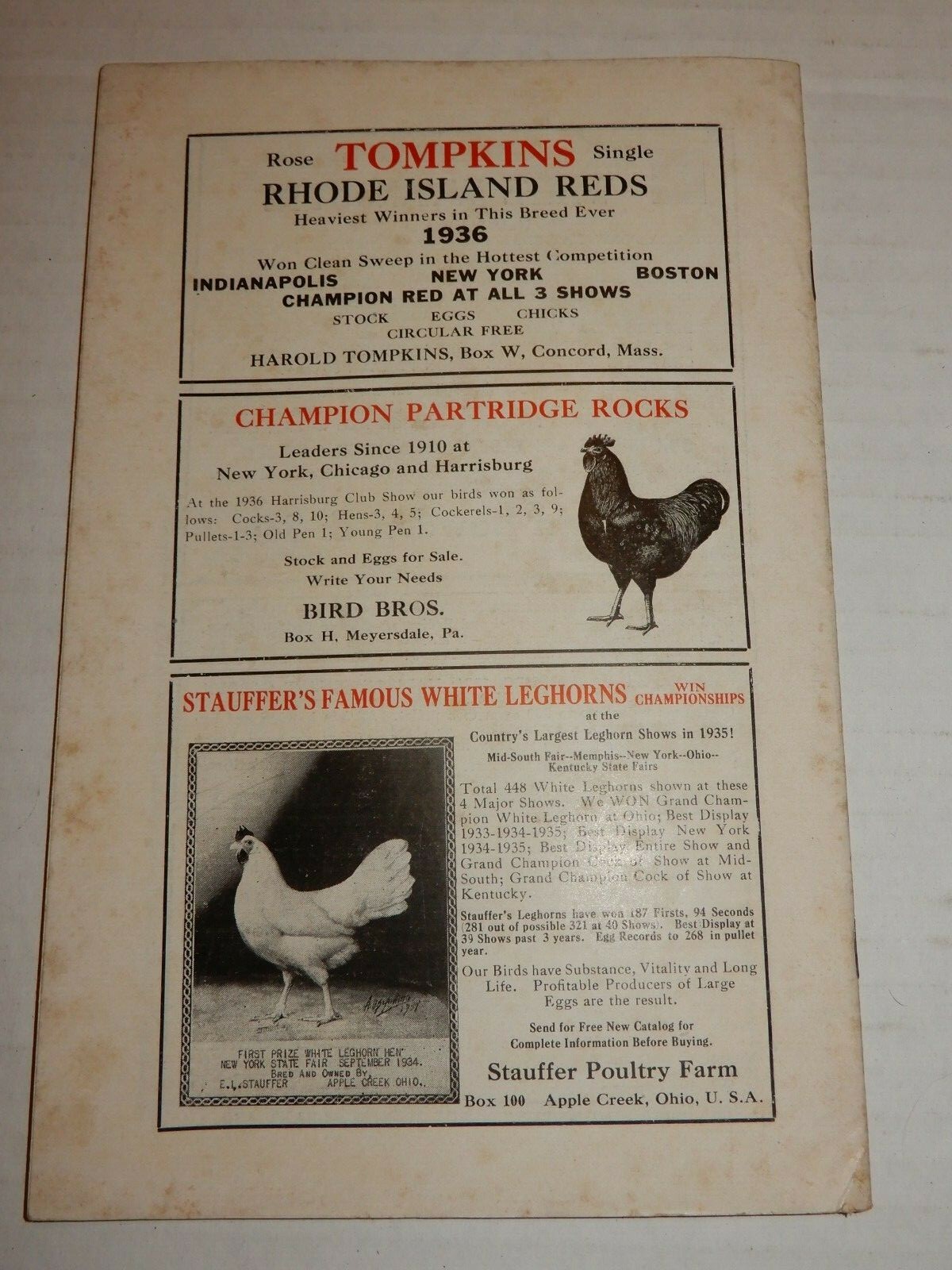 Vintage The Breeders World Magazine Booklet February 1936 Vol XI No 2
