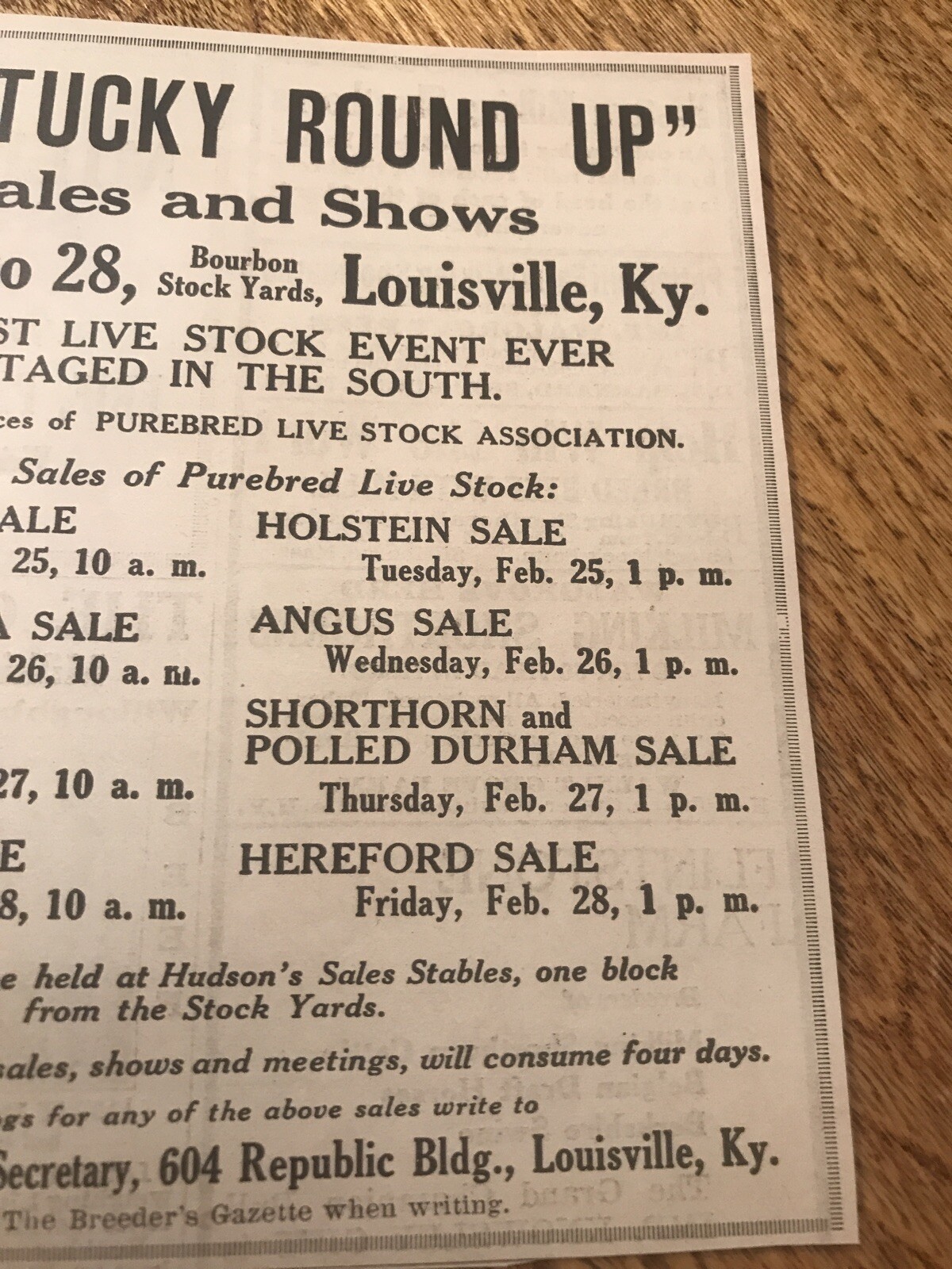 1919 Pig & Cattle Public Sale – Louisville – Kentucky – Cow Advertising