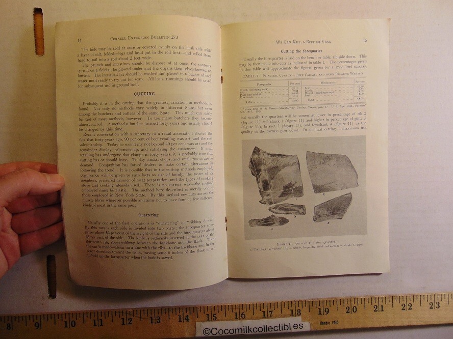 Vintage April 1935 We Can Kill A Beef or Veal Cornell Extension Bulletin