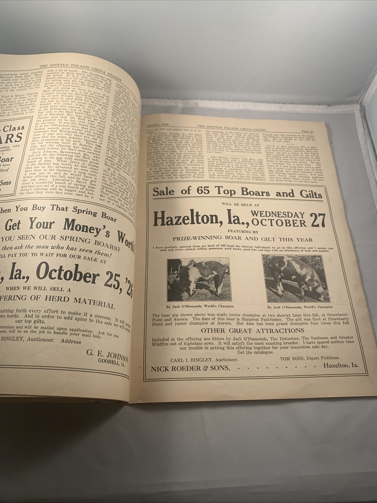 Spotted Poland China Pig Hog Digest October 1926 Missouri Kansas City Catalog