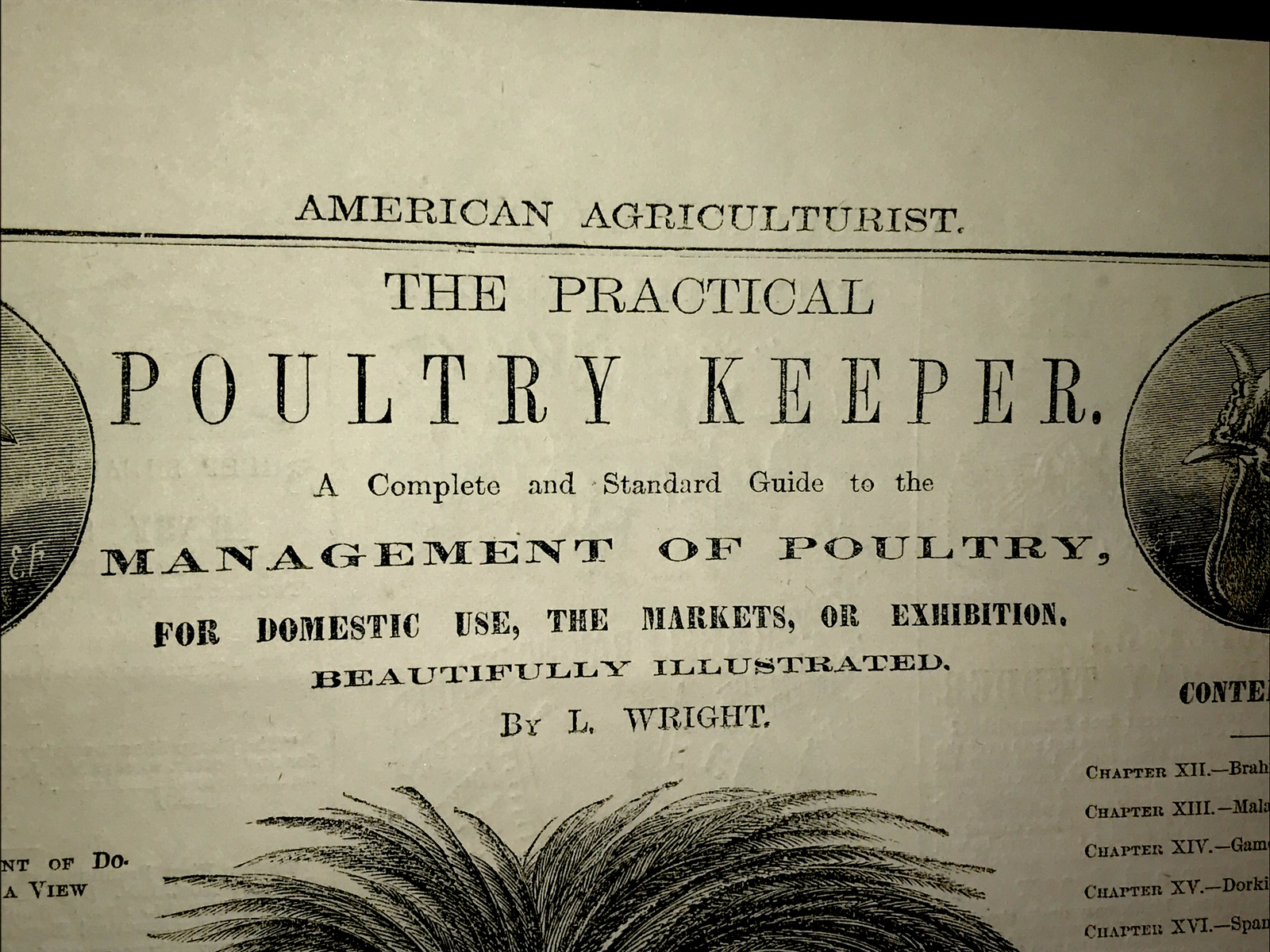 1870 Poultry Chicken Rooster Cock Hen Farm Engraving Advertising