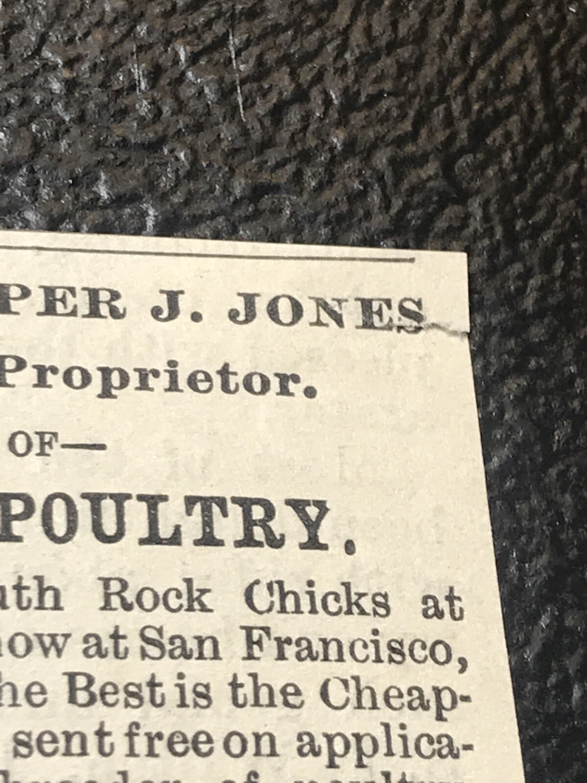 1886 Alhambra Poultry Yards Chicken Farm Advertising – Martinez – California
