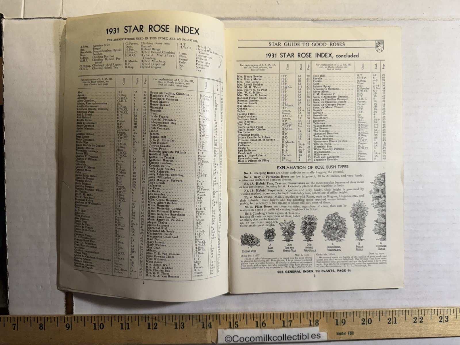 Vintage 1931 The Conard-Pyle CO Star Rose Growers Catalog West Grove PA