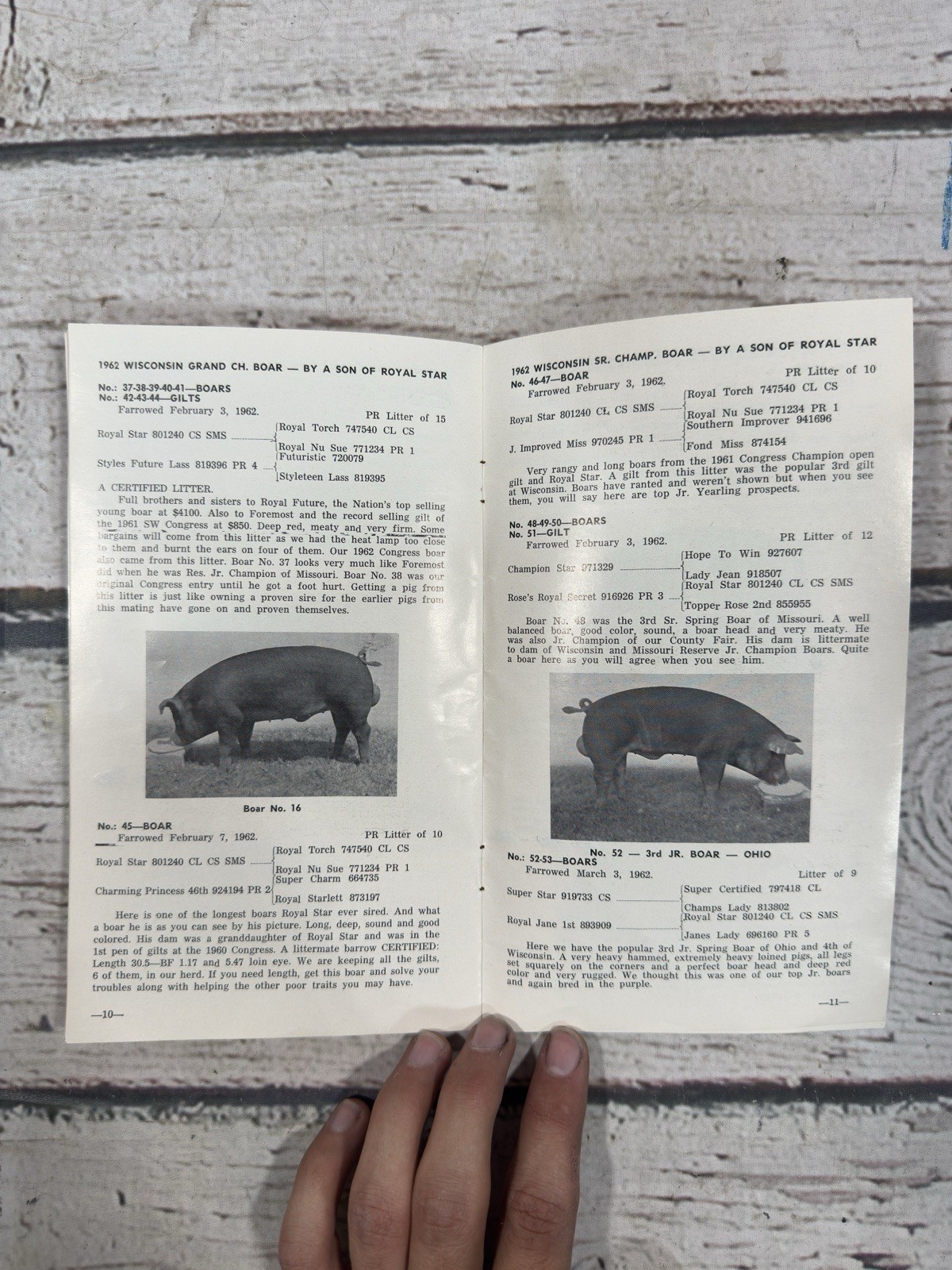 VTG Sale Of Superior Durocs Oral W. Long & Sons Indiana 1962 Pig Auction Booklet