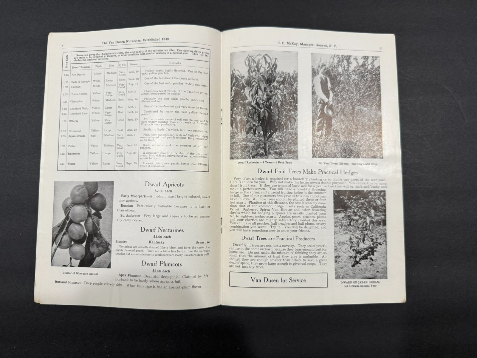 1930&rsquo;s Evergreen, Van Dusen, Rosedale Nursery Brochures…..4 Items