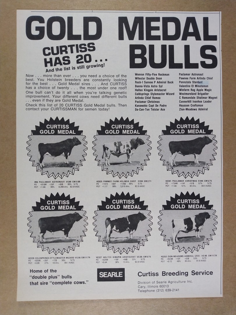 1975 Curtiss Breeding Gold Medal Bulls vintage print Ad
