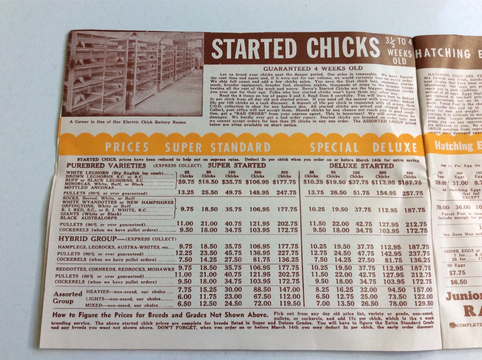 1956-58 Berry’s Farm & Hatchery Chick & Poultry Brochures W/Prices Clarinda Iowa