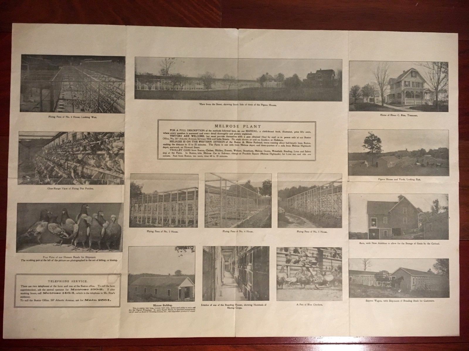 VINTAGE 1907 PIGEON SQUAB FARMING ADVERTISING POSTER BROCHURE 15 X 22&Prime; BOSTON MA