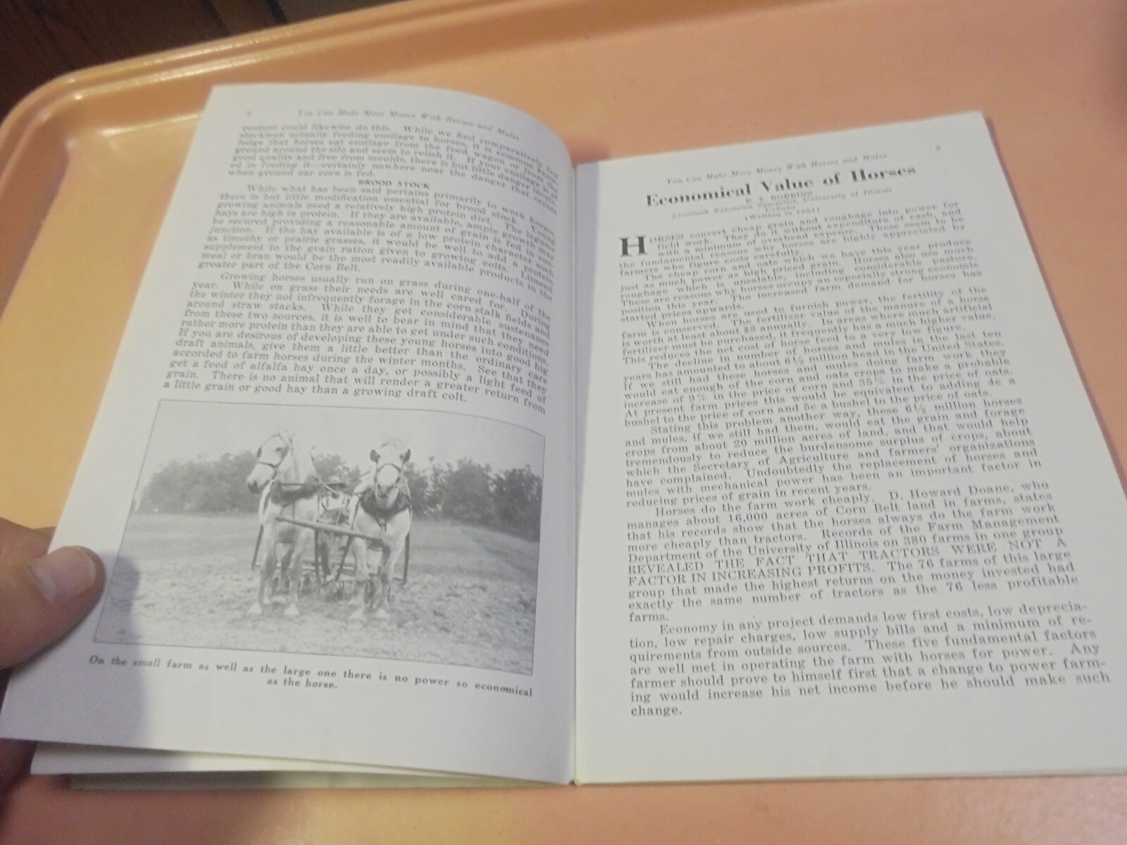 Vintage Booklet You can make more money with horse and mules The Jim Dandy Line
