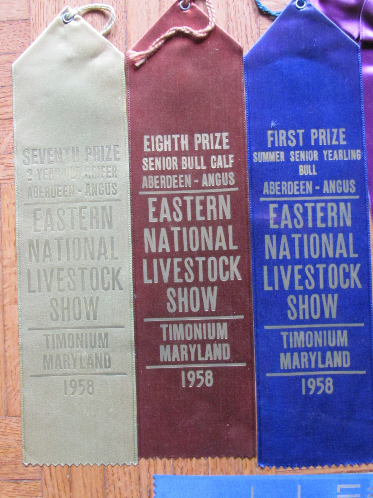 1958 62 FARM AWARD ANGUS BEEF CATTLE RIBBON EASTERN NATIONAL LIVESTOCK SHOW MD