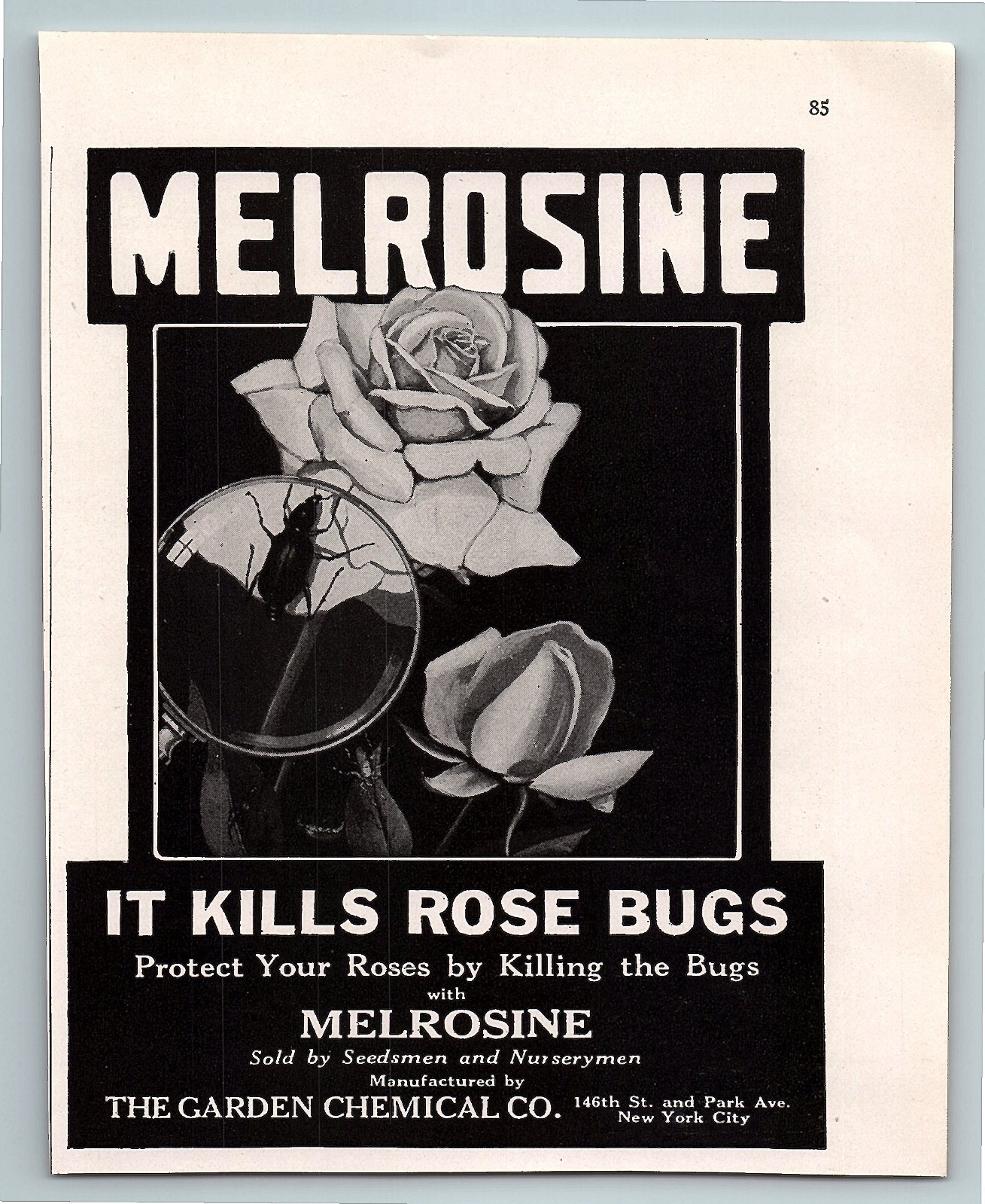 1921 MELROSINE Rose Bug Killer Garden Décor Ephemera Vintage 20&rsquo;s Print Ad