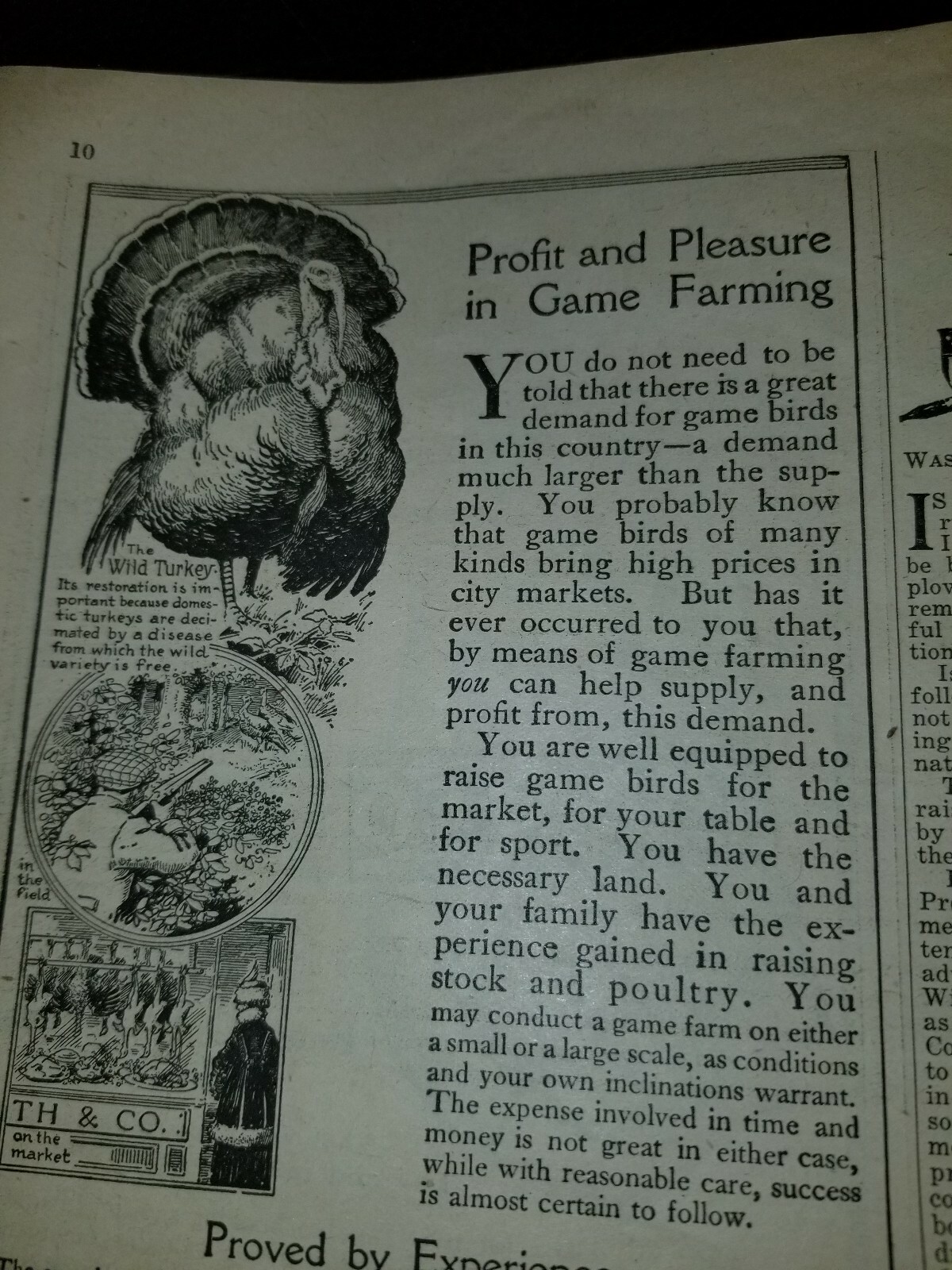 FARM and FIRESIDE The National Farm Paper 1917