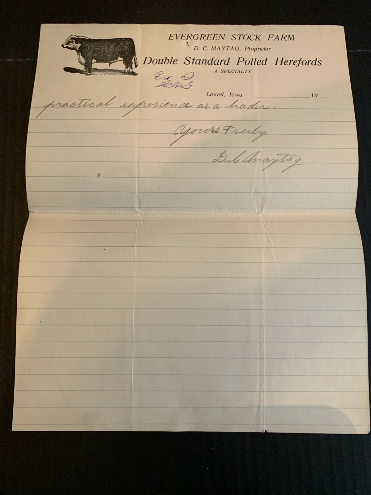 c1910 Evergreen Stock Farms Polled Herefords Letterhead Laurel Iowa