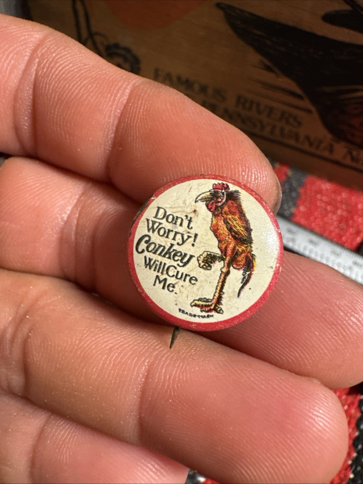 Antique c1908 Conkey Poultry Cure Pin Don’t Worry Chicken Button