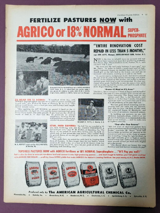 Original 1954 AGRICO Ad Features William Potts of Pomaria South Carolina