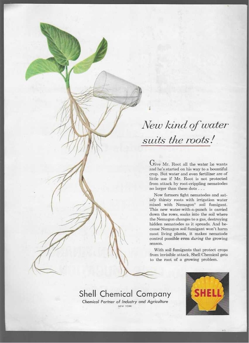 Nemagon Soil Fumigant – Shell Chemical Company 1960 Vintage Print Ad
