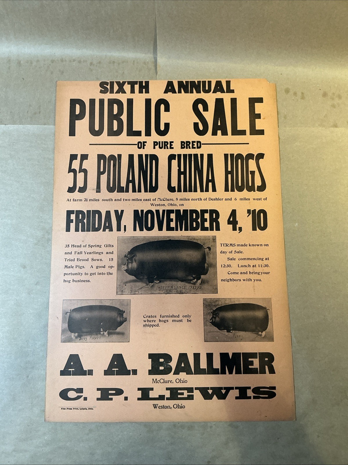 Antique 1910 Original Auction Poster China Hog Public Sale Ohio As Is INV-AC07Y