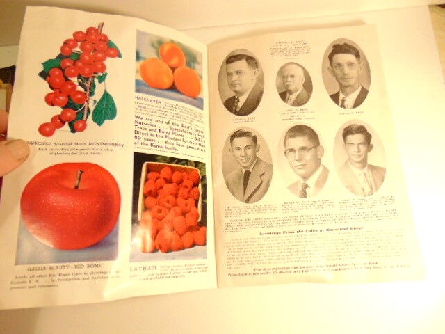 Vintage Fall 1954 – Spring 1955 Bountiful Ridge Nurseries plant catalog