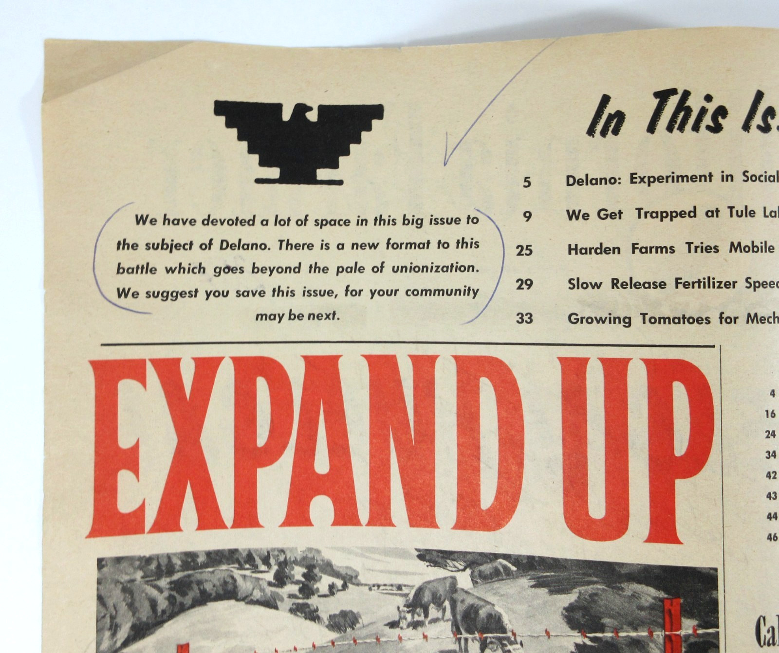 United Farm Workers Grape Boycott Caesar Chavez Farmer Magazine Delano CA 1966