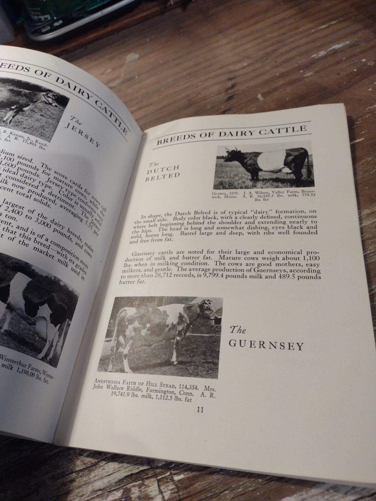 1933 ESHELMAN BOOK OF FARM INFORMATION Breeds Dairy Chickens Crops Photos
