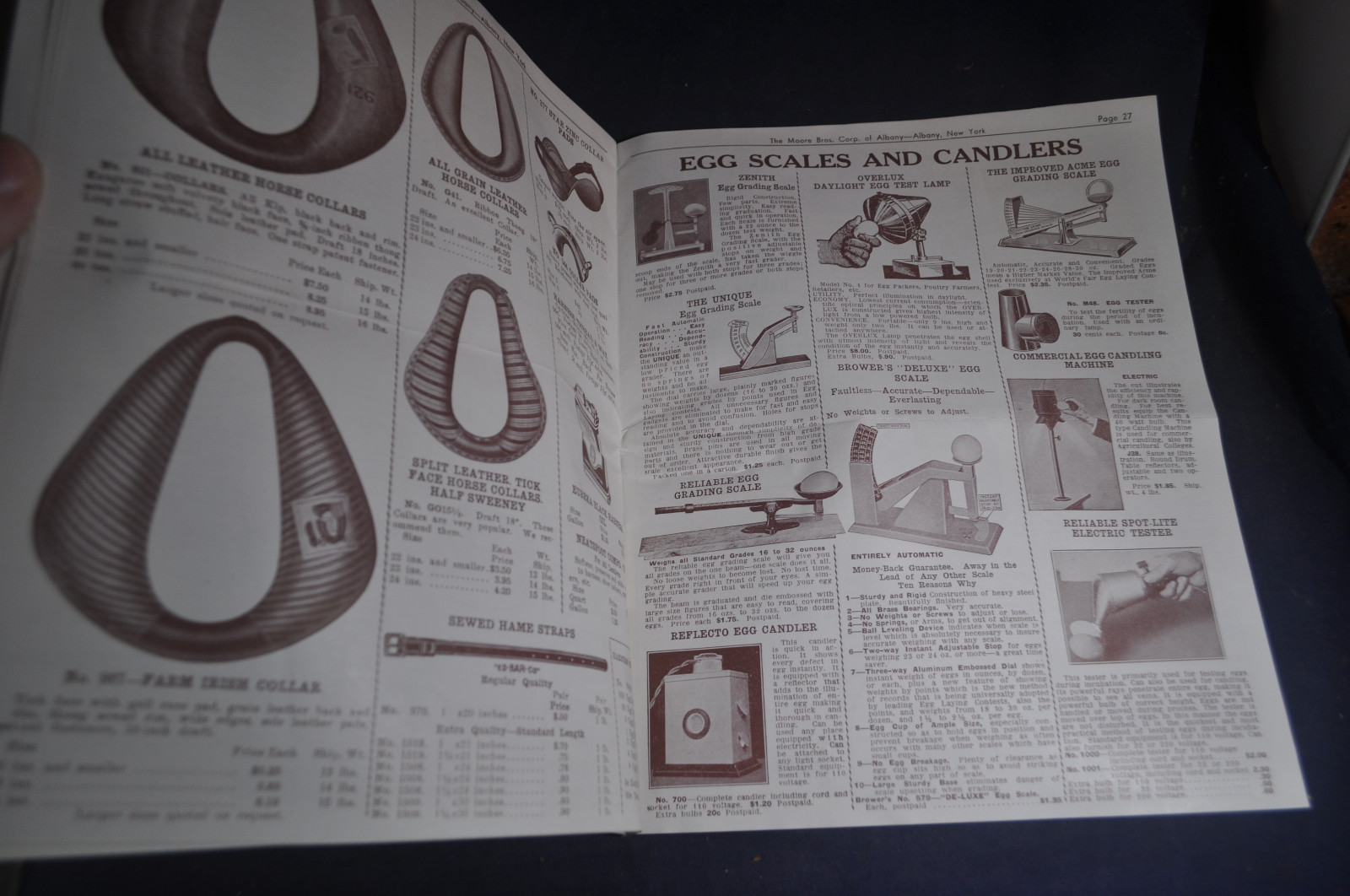1938 Moore Brothers [Albany NY] Catalog, Dairy, Poultry & Veterinary Supplies