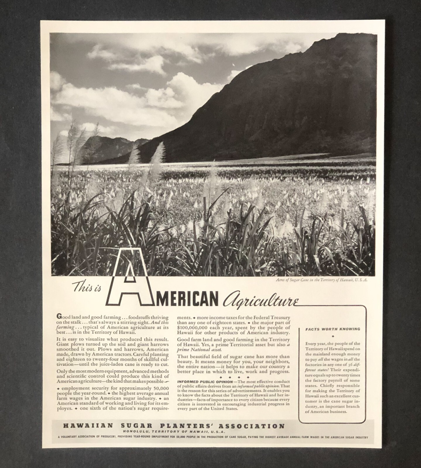 1938 American Agriculture Advertisement Hawaiian Territory Sugar Vtg Print AD