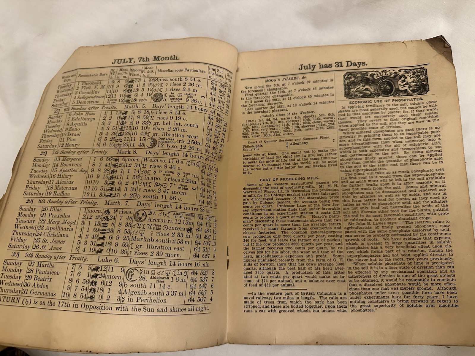 Lot 5 Antique Almanacs 1900-1907 Lancaster PA & Frederick MD + 1979 Newport PA