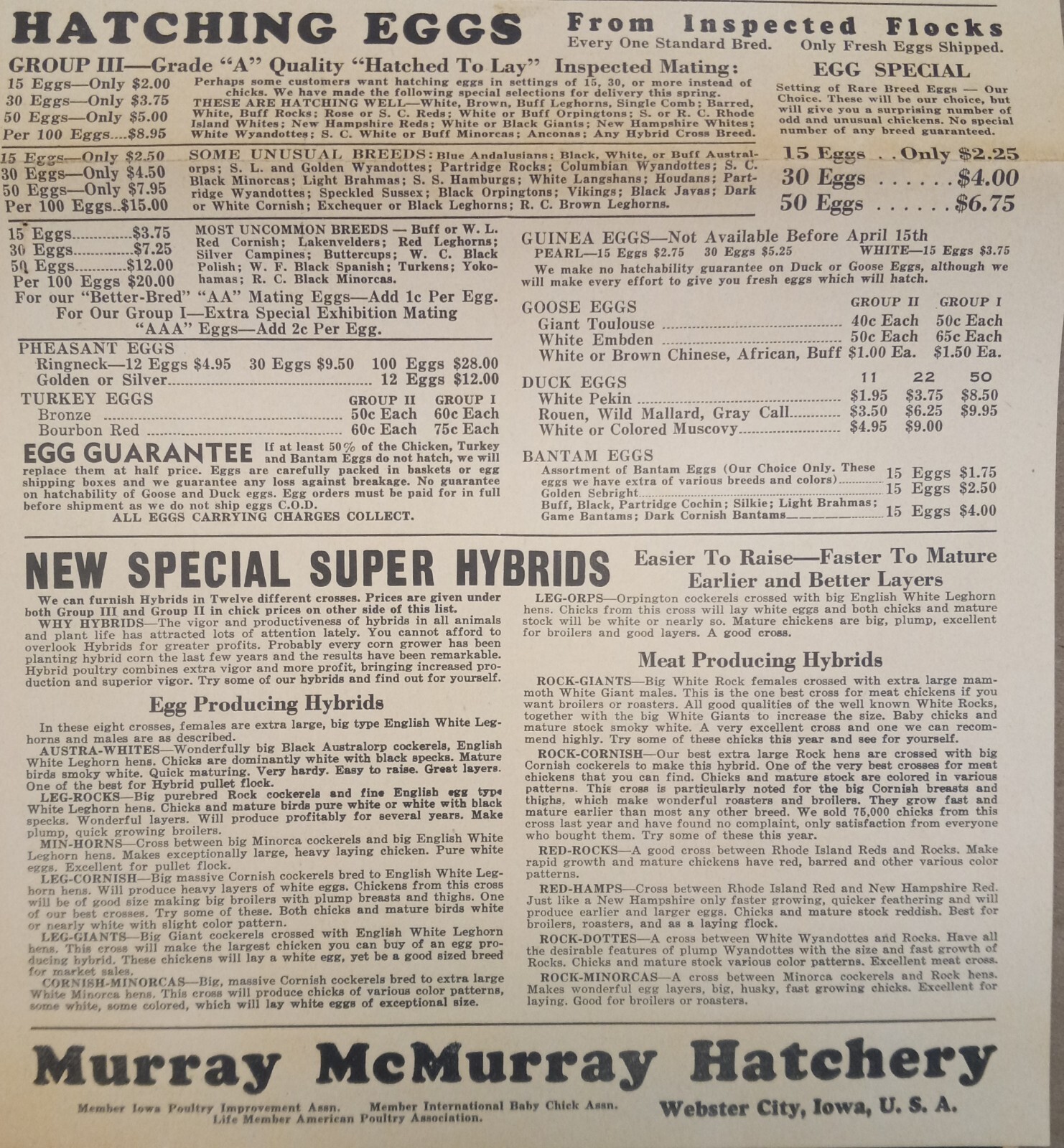 Vtg 1944 Murray McMurray Hatchery Webster City Ia Catalog Order Form Price List