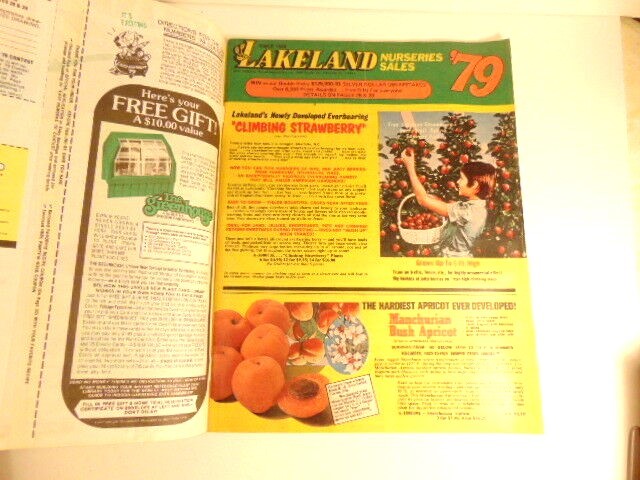 Vintage 1979 Nursery Sales catalog; Lakeland Nursery Sales, Hanover, PA